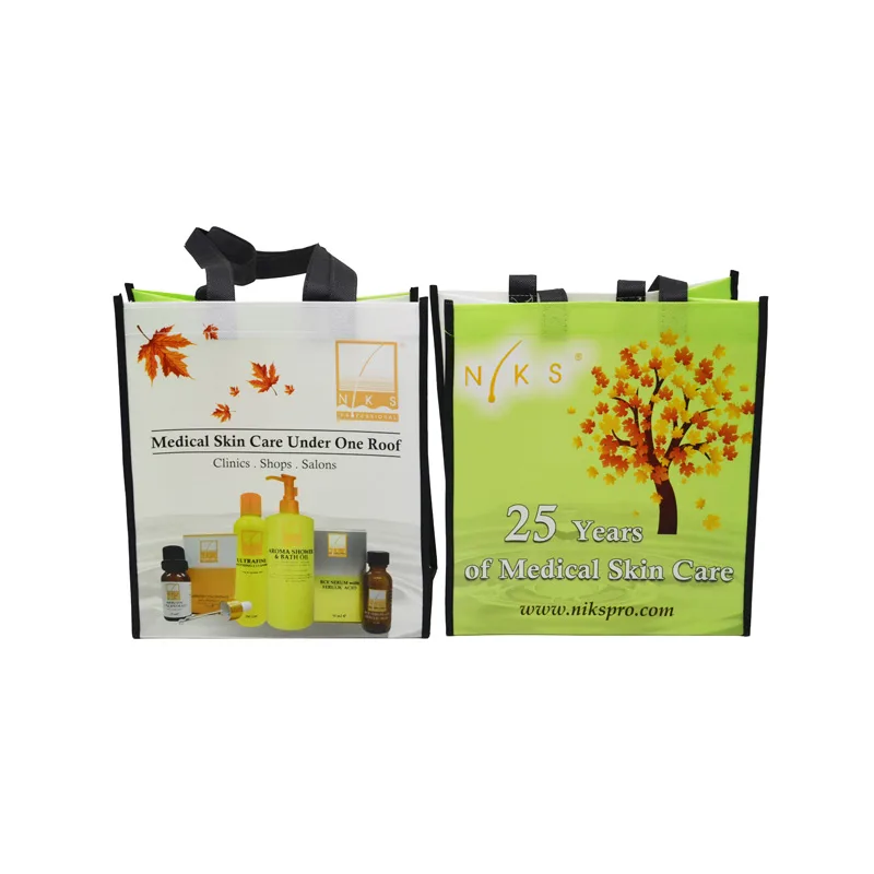 Laminated Non Woven Bag